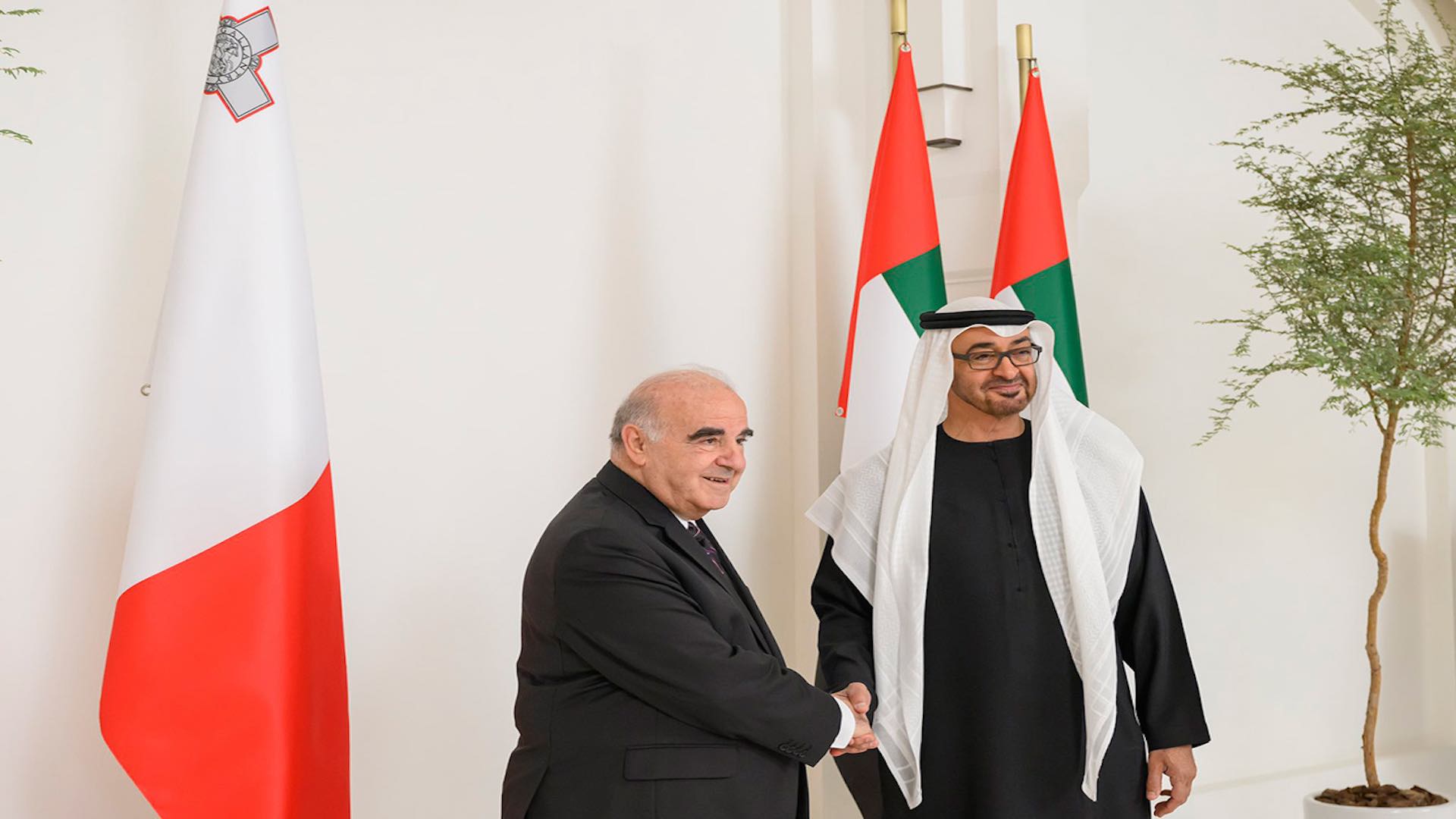 محمد بن زايد ورئيس مالطا يبحثان تعزيز علاقات البلدين